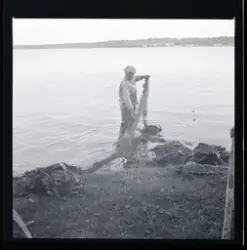 Fiskarna Sven Karlsson och Lars von Herluf drar not.
Jordö, Blekinge.