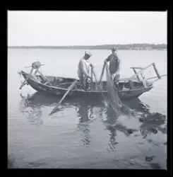 Fiskarna Sven Karlsson och Lars von Herluf drar not.
Jordö, Blekinge.