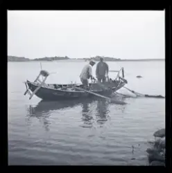 Fiskarna Sven Karlsson och Lars von Herluf drar not.
Jordö, Blekinge.