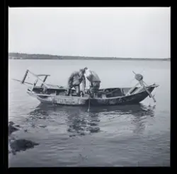 Fiskarna Sven Karlsson och Lars von Herluf drar not.
Jordö, Blekinge.