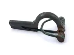 Fibula