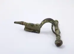 Fibula