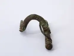 Fibula