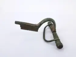 Fibula