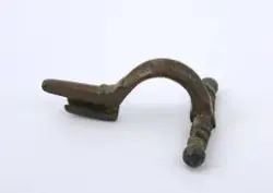 Fibula