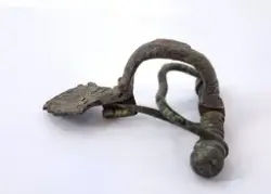 Fibula
