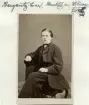 Carl Bergentz som gosse i Linköping omkring 1865. Son till kamrer Carl Bergentz och hustrun Hulda, född Wallin. Carl j:r kan i vuxen ålder följas till Norrköping och en tjänst som bokhållare. Möjligtvis blev han som anteckningen anger vidare banktjänsteman i Chicago. Arkets baksida anger även dödsåret 1898, något som inte kunnat verifieras för denna publicering.