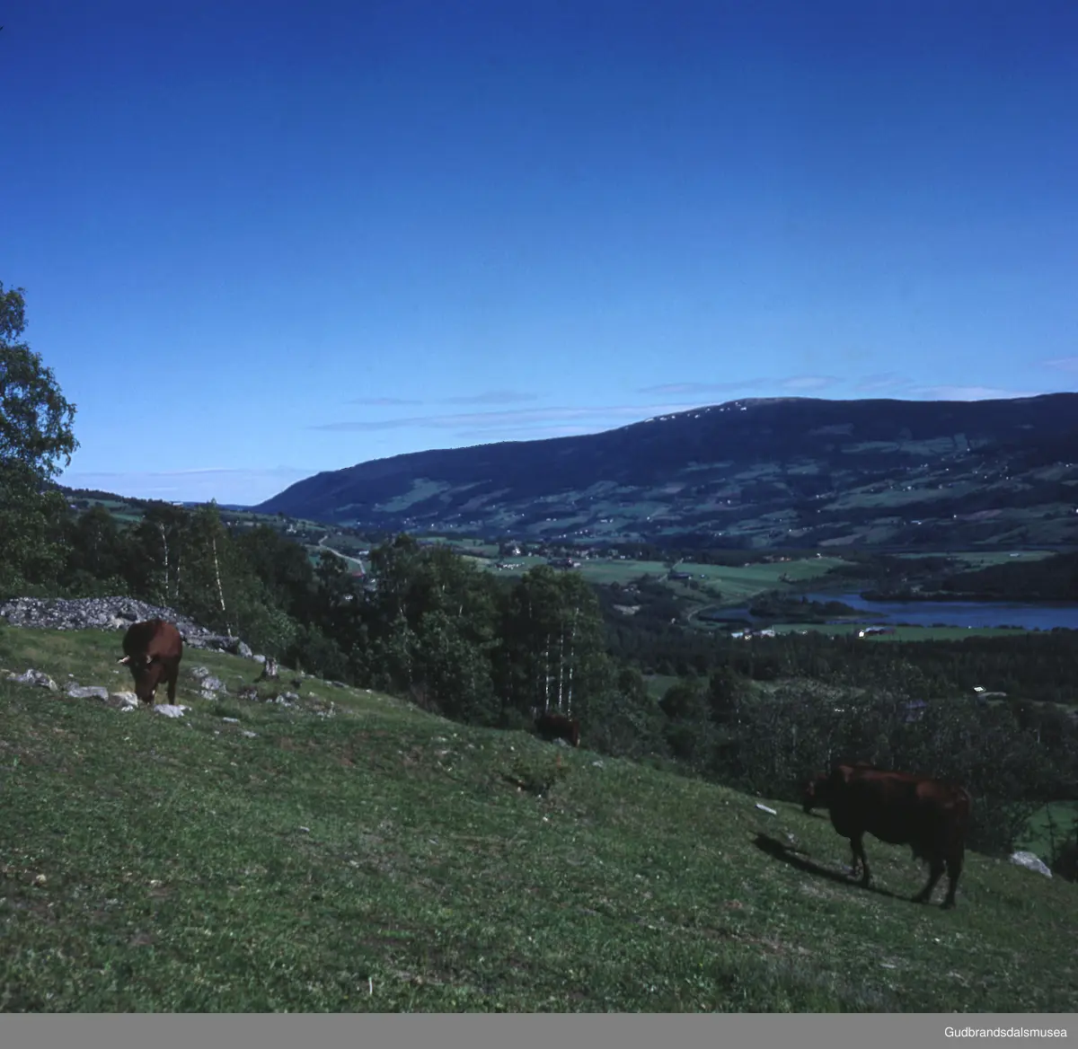 Vinstra Turistkontor: Fra Kile-veien mot Hundorp
