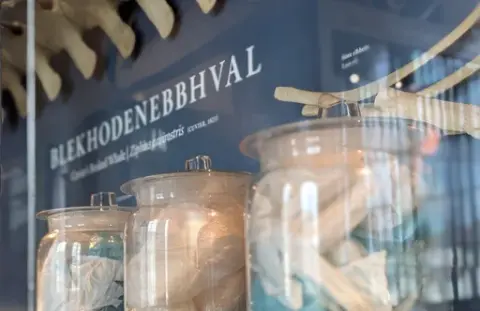 Mennesket og havet