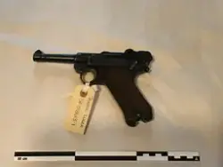 Pistol