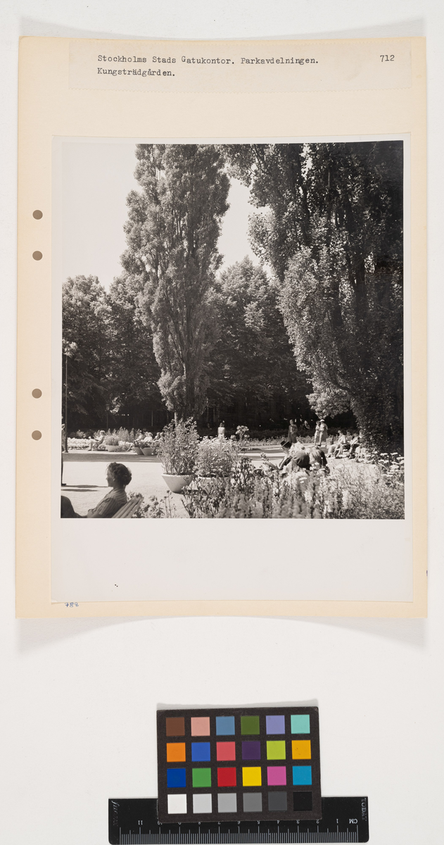 Parkprogram.
Kungsträdgården.