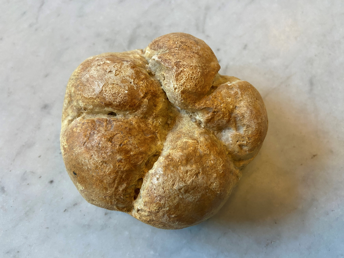 Gipsavgjutning av brödet Mandelbröd, ursprungligen 14 stycken. Runda till formen, vikta inåt mitten för att bilda rosliknande blad. 