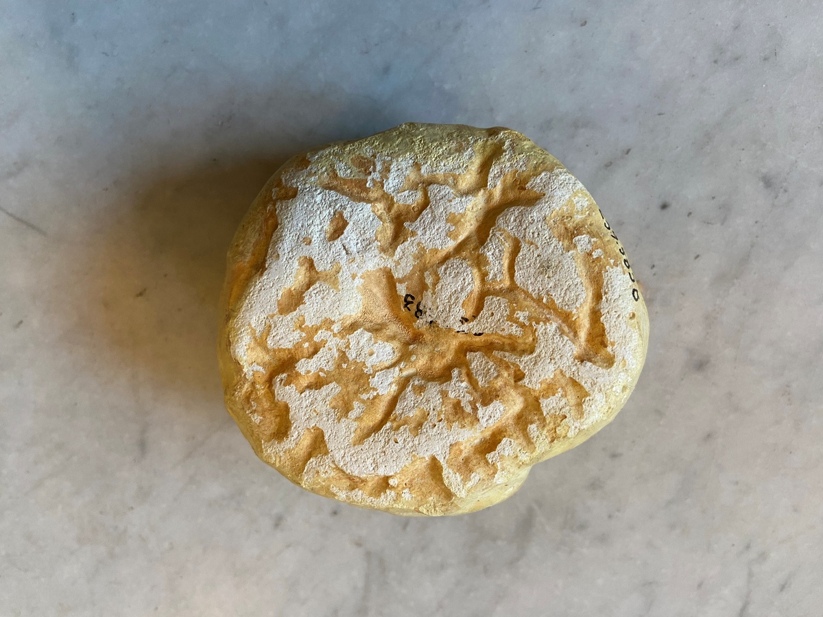 Gipsavgjutning av brödet Mandelbröd, ursprungligen 14 stycken. Runda till formen, vikta inåt mitten för att bilda rosliknande blad. 