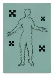 Orbis Pictus [Textil]