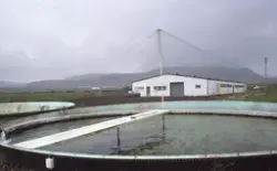 Island : Kar for oppdrett, bygning i bakgrunnen