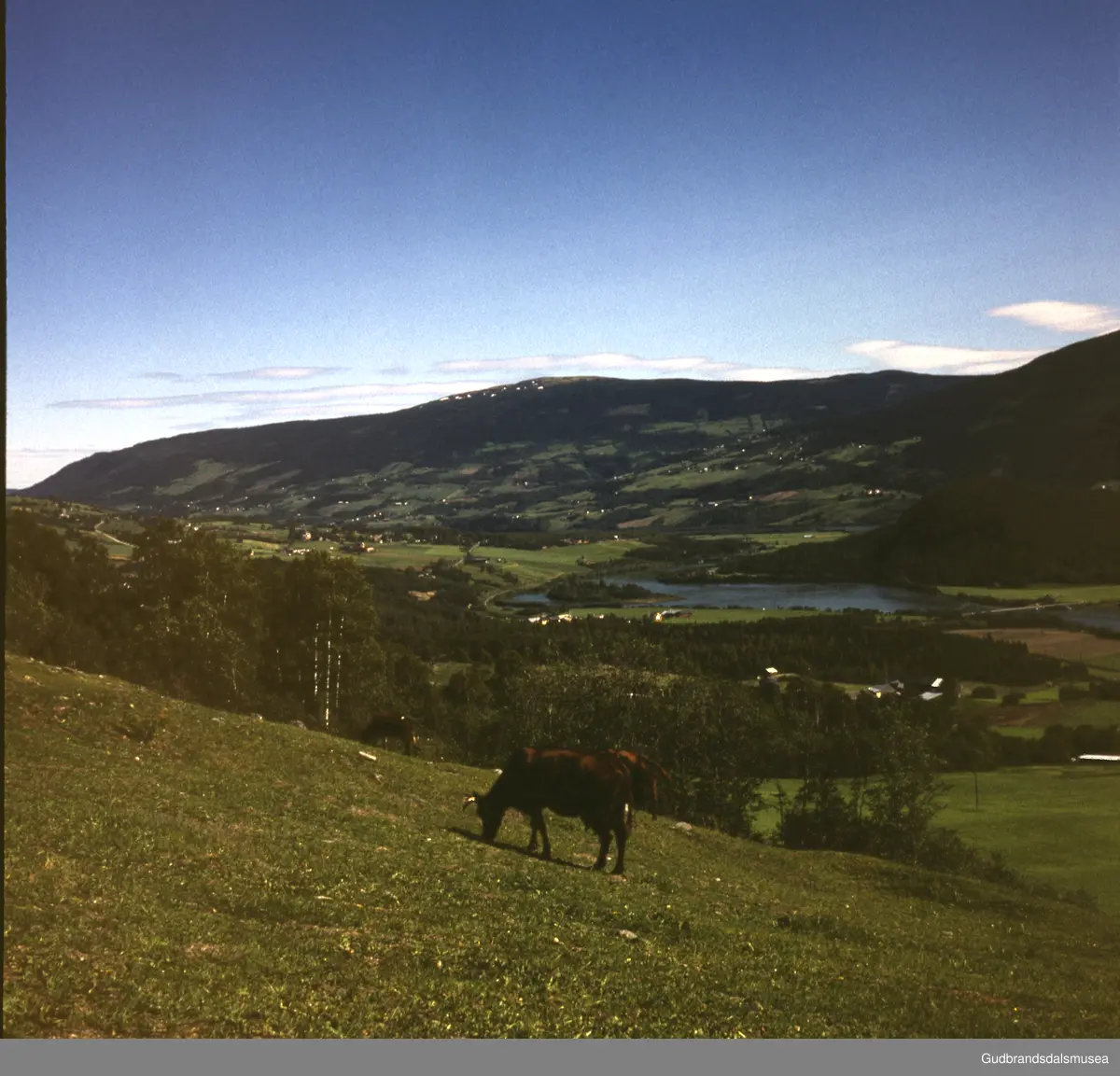 Vinstra Turistkontor: Harpefoss mot Hundorp vest