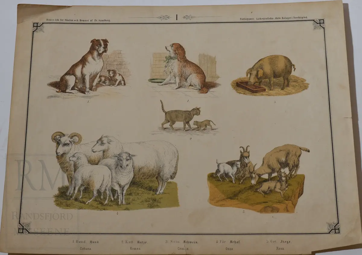 Mappen består av 24 kartonger med ulike naturhistoriske motiver 