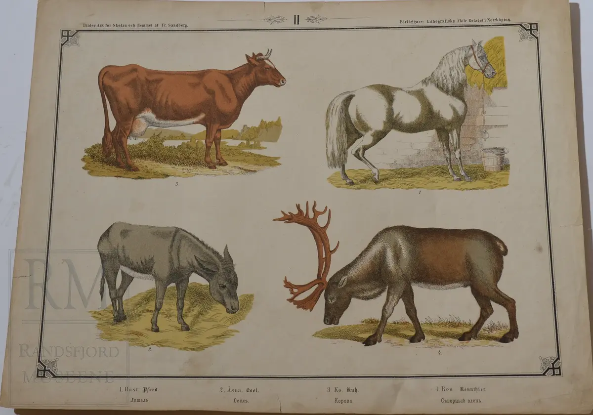 Mappen består av 24 kartonger med ulike naturhistoriske motiver 