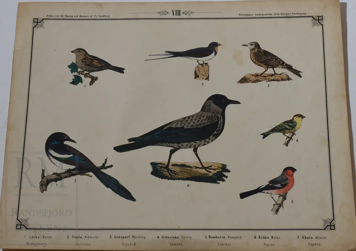 Mappen består av 24 kartonger med ulike naturhistoriske motiver 