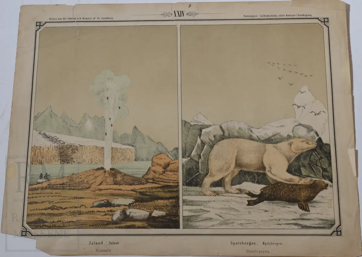 Mappen består av 24 kartonger med ulike naturhistoriske motiver 