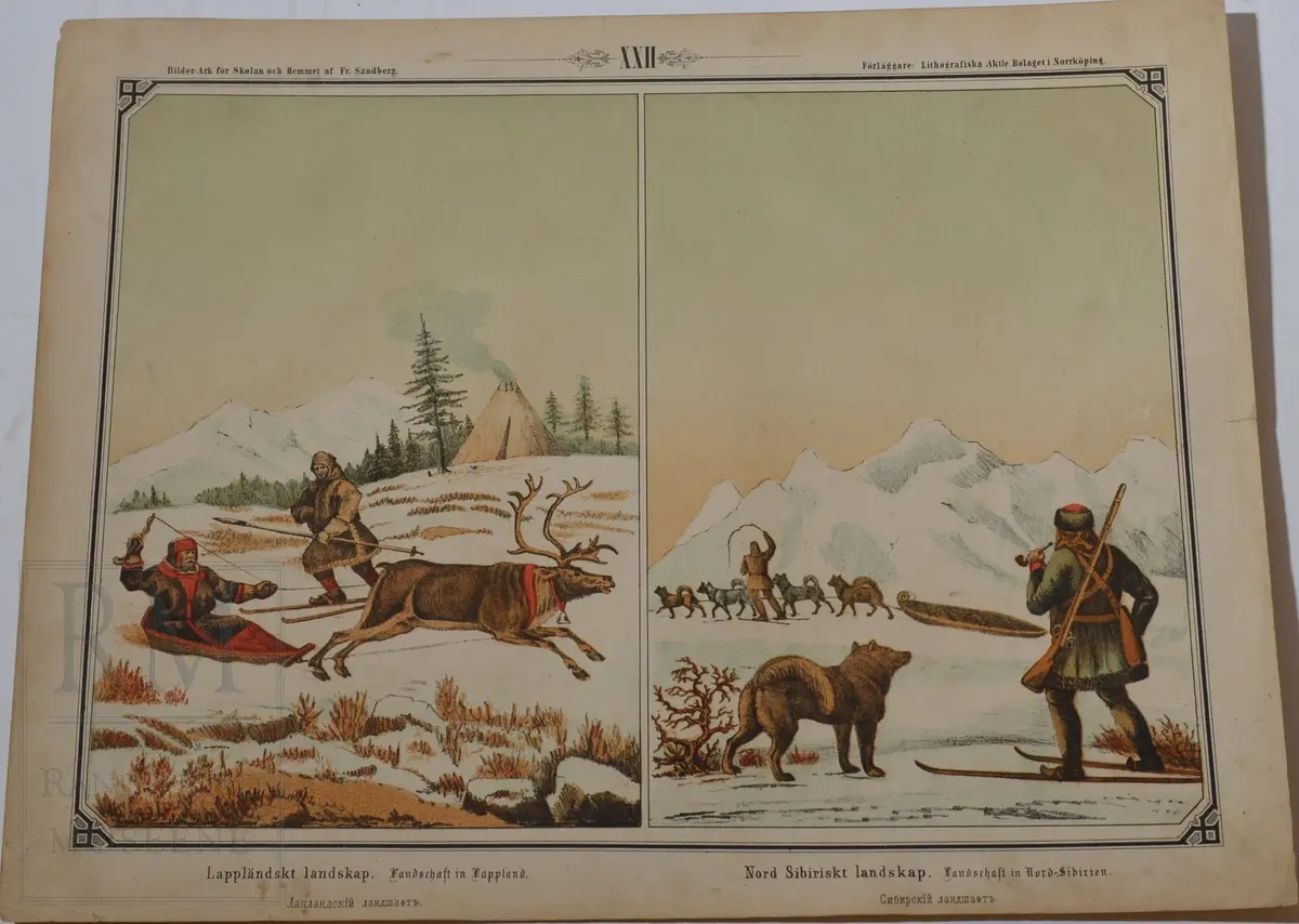Mappen består av 24 kartonger med ulike naturhistoriske motiver 