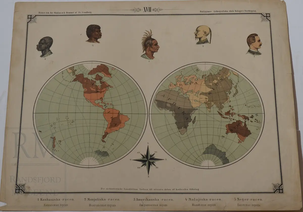 Mappen består av 24 kartonger med ulike naturhistoriske motiver 