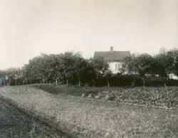 Jordbrukslandskap, bolighus i bakgrunnen.