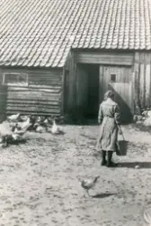 Frå tunet på Kviagarden (stall og sauefjøs). Ei kvinne med ryggen til kameraet. Høner til venstre. Bildet er brukt i "Sjå Jæren" 1995, s 101. Bildetekst: "Dotter til Karen, Anna Aanestad på veg gjennom gardsrommet".