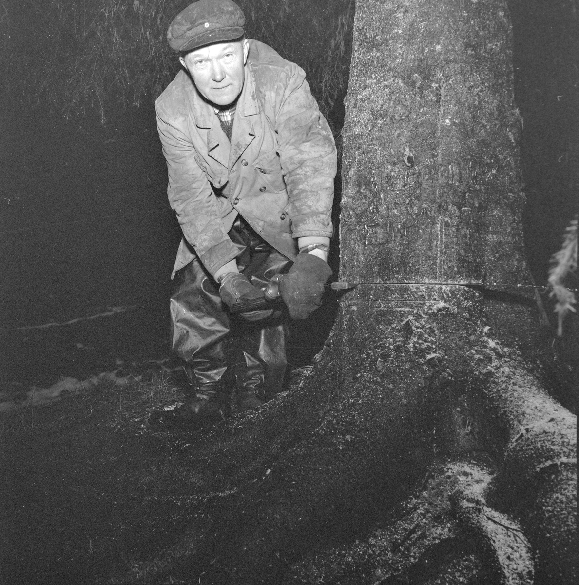 Felling av byens juletre går dårlig