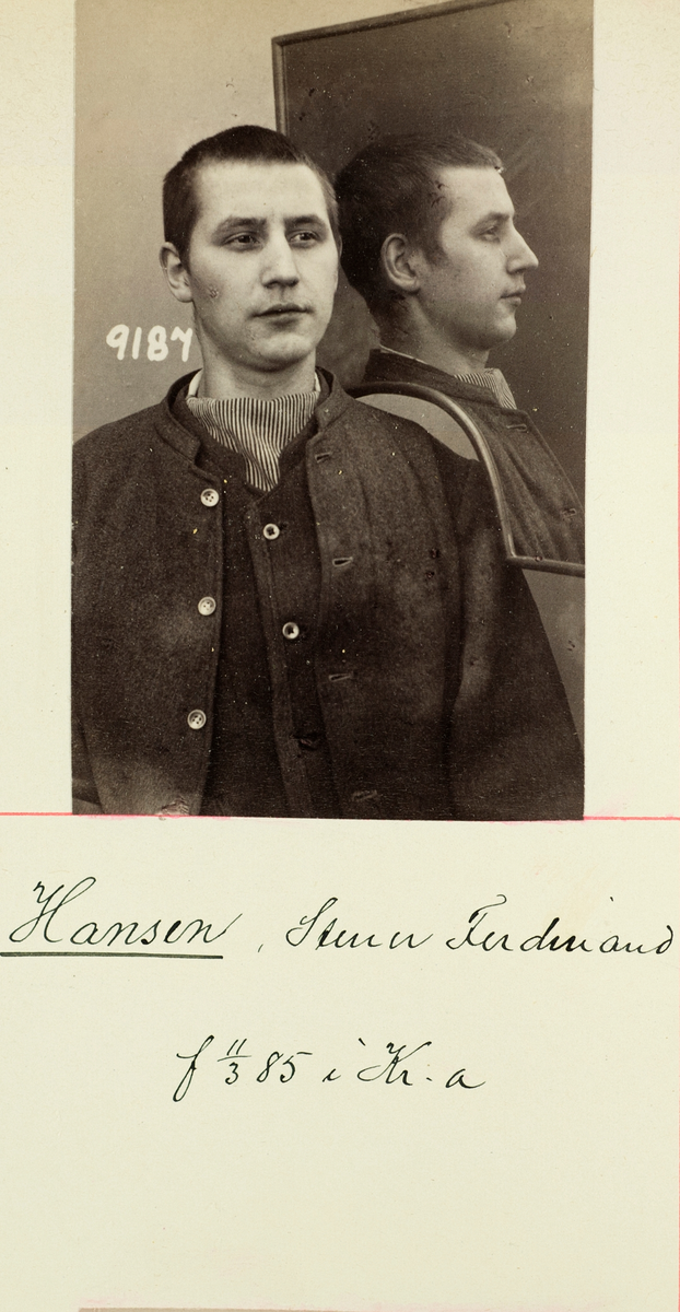 Stener Ferdinand Hansen