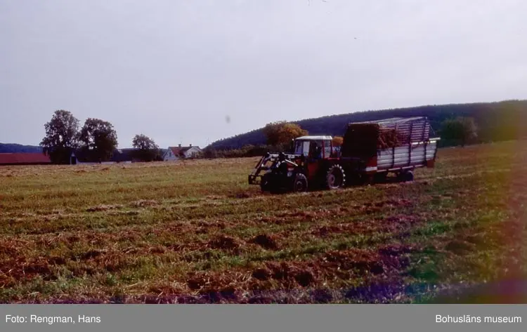UMFA53409:0046