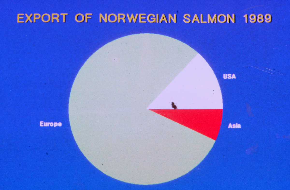 Plansjer/presentasjon om norsk laks og oppdrett i Norge på engelsk