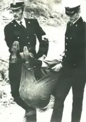 To politimenn bærer en person mellom seg