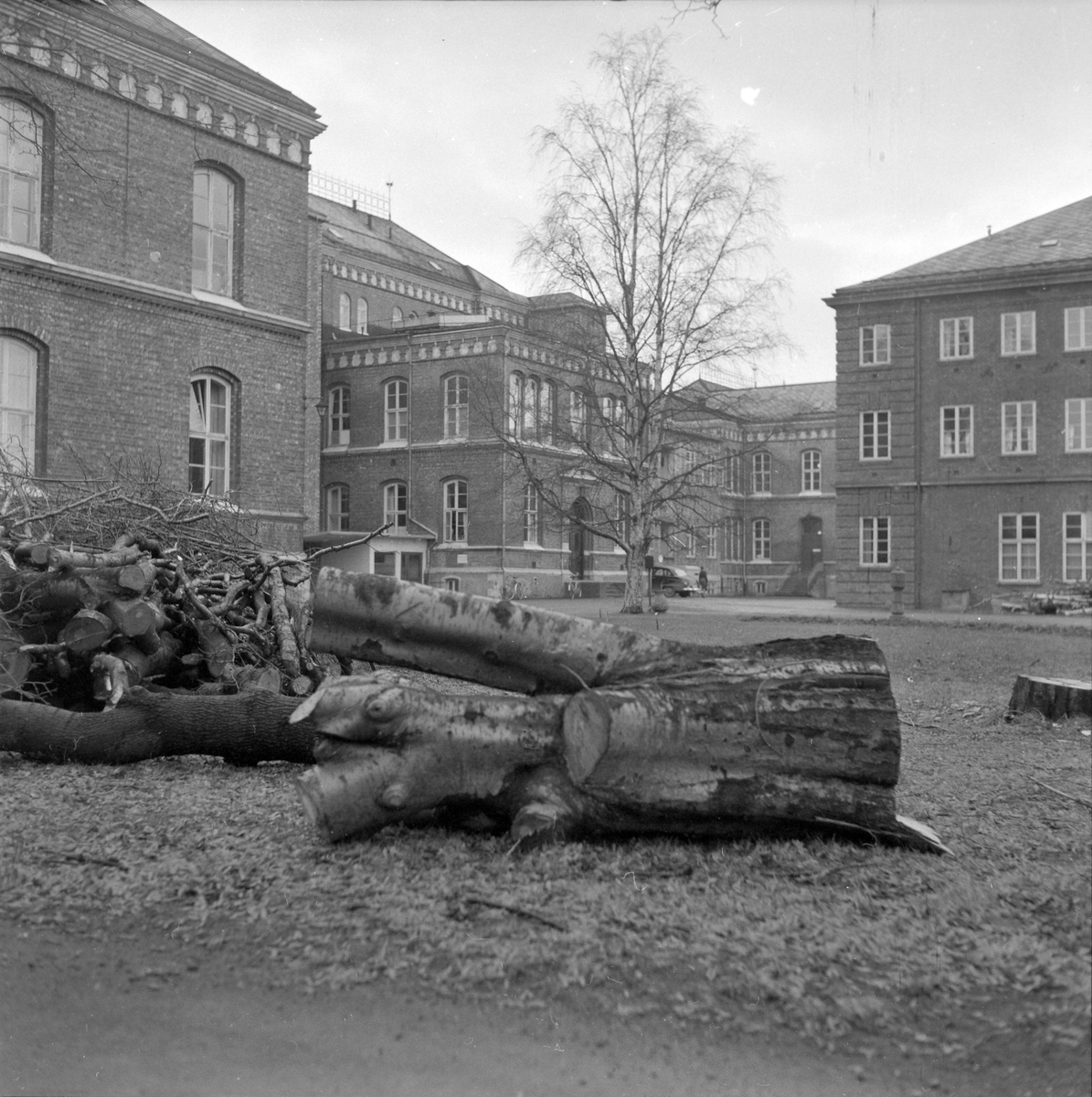 Sentralsykehuset i Trondheim, Grunnarbeid