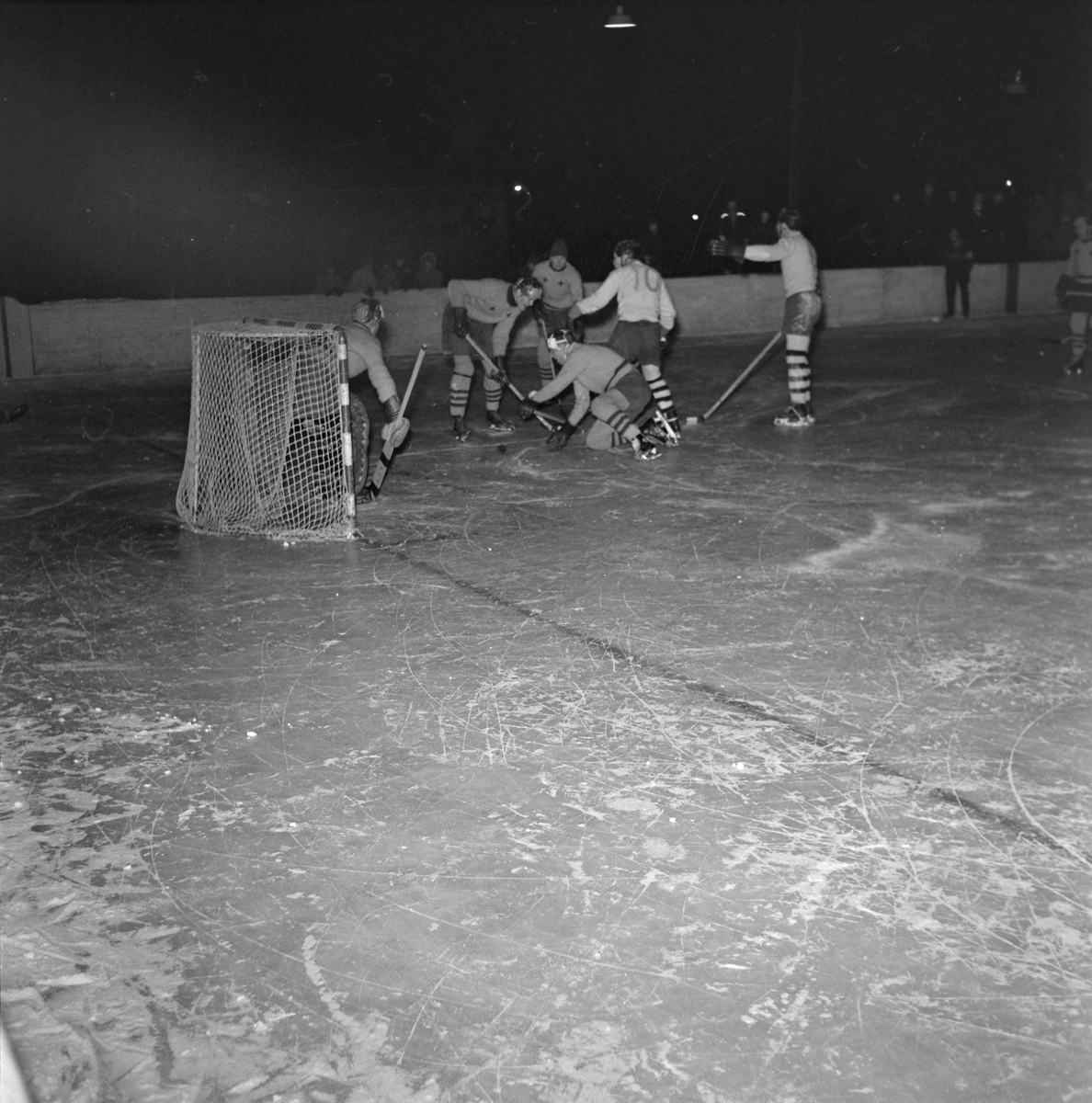Ishockey, Wing - Rosenborg