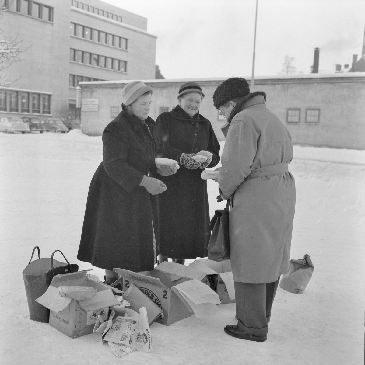 Torvkoner i kulden