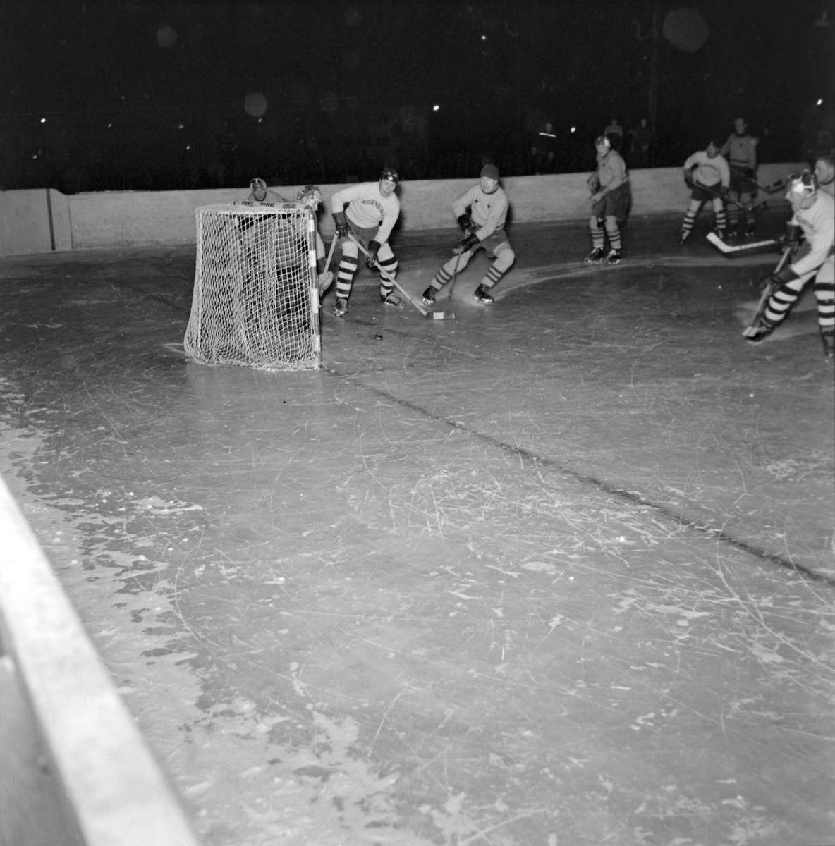 Ishockey, Wing - Rosenborg