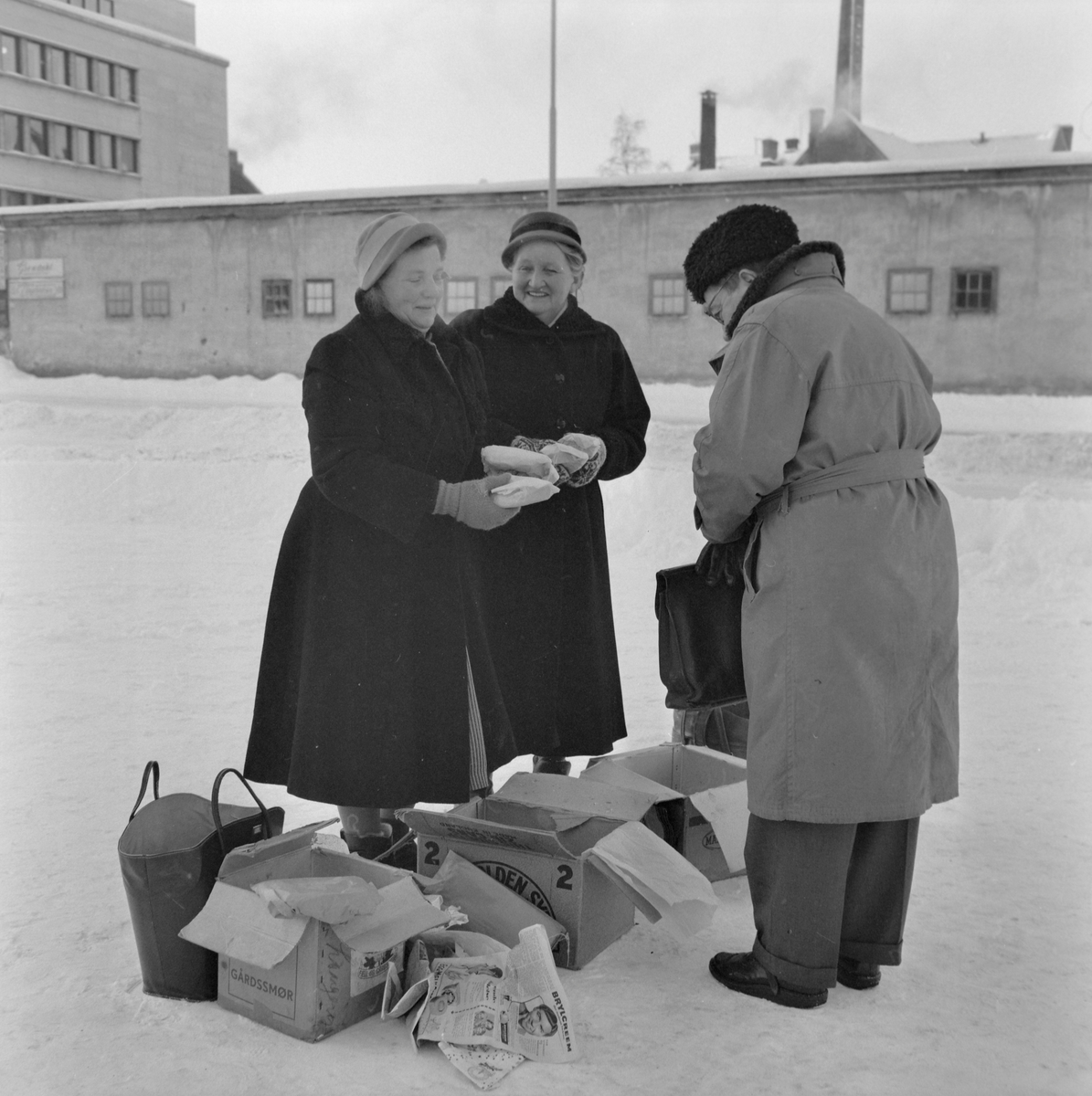 Torvkoner i kulden