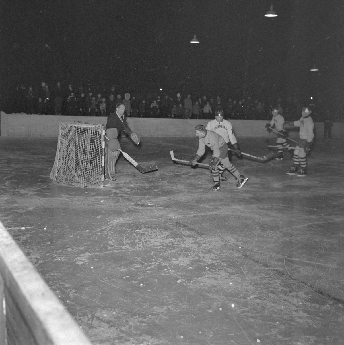 Ishockey, Wing - Rosenborg