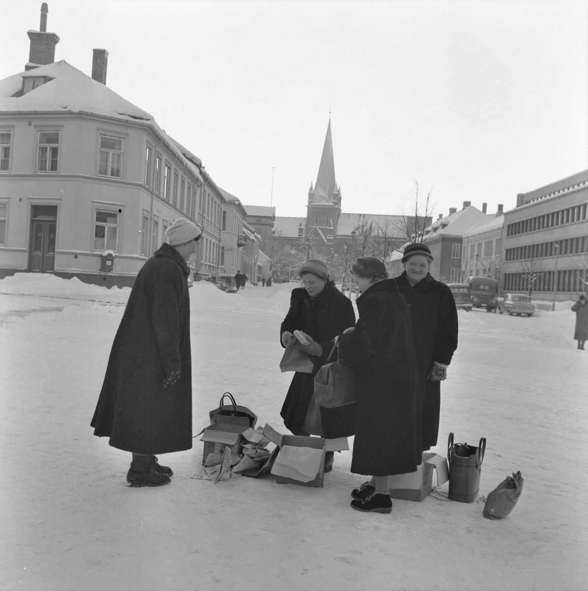 Torvkoner i kulden