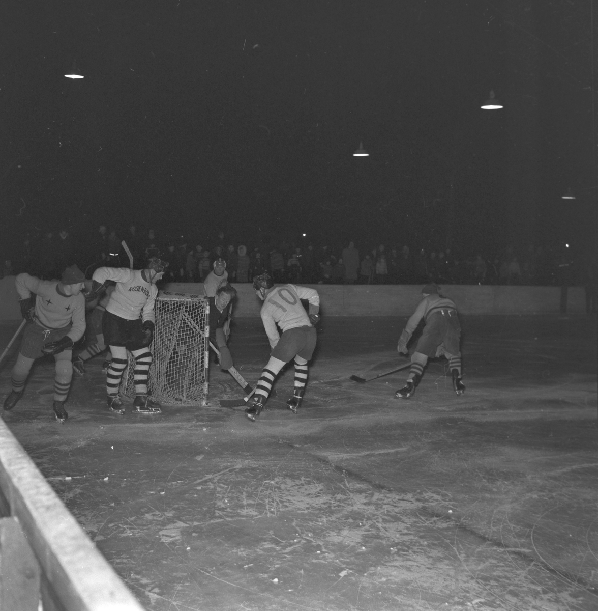 Ishockey, Wing - Rosenborg