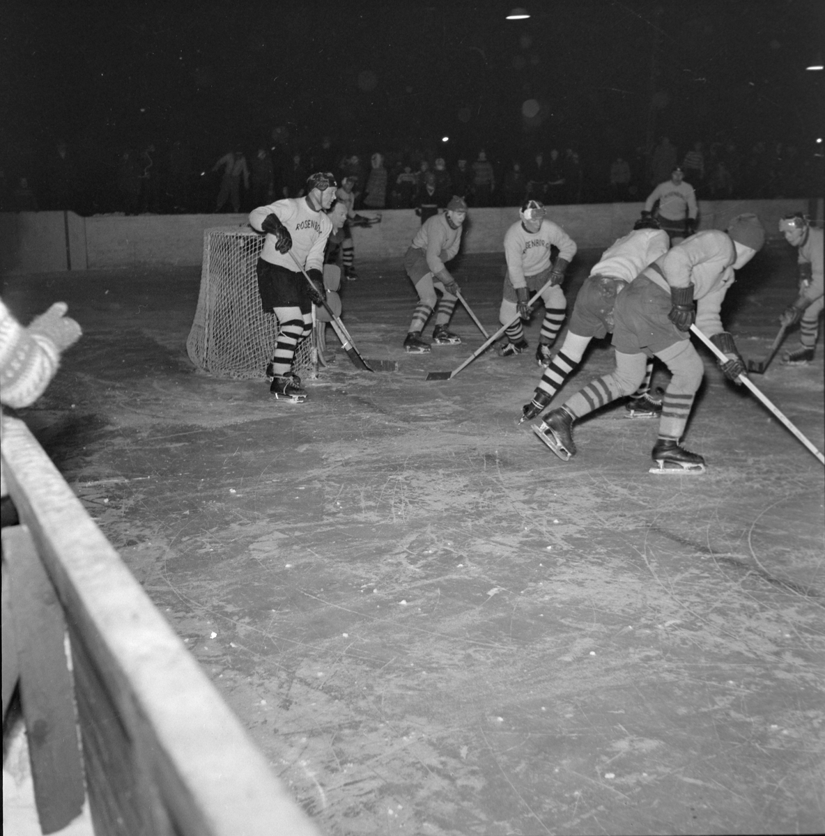 Ishockey, Wing - Rosenborg