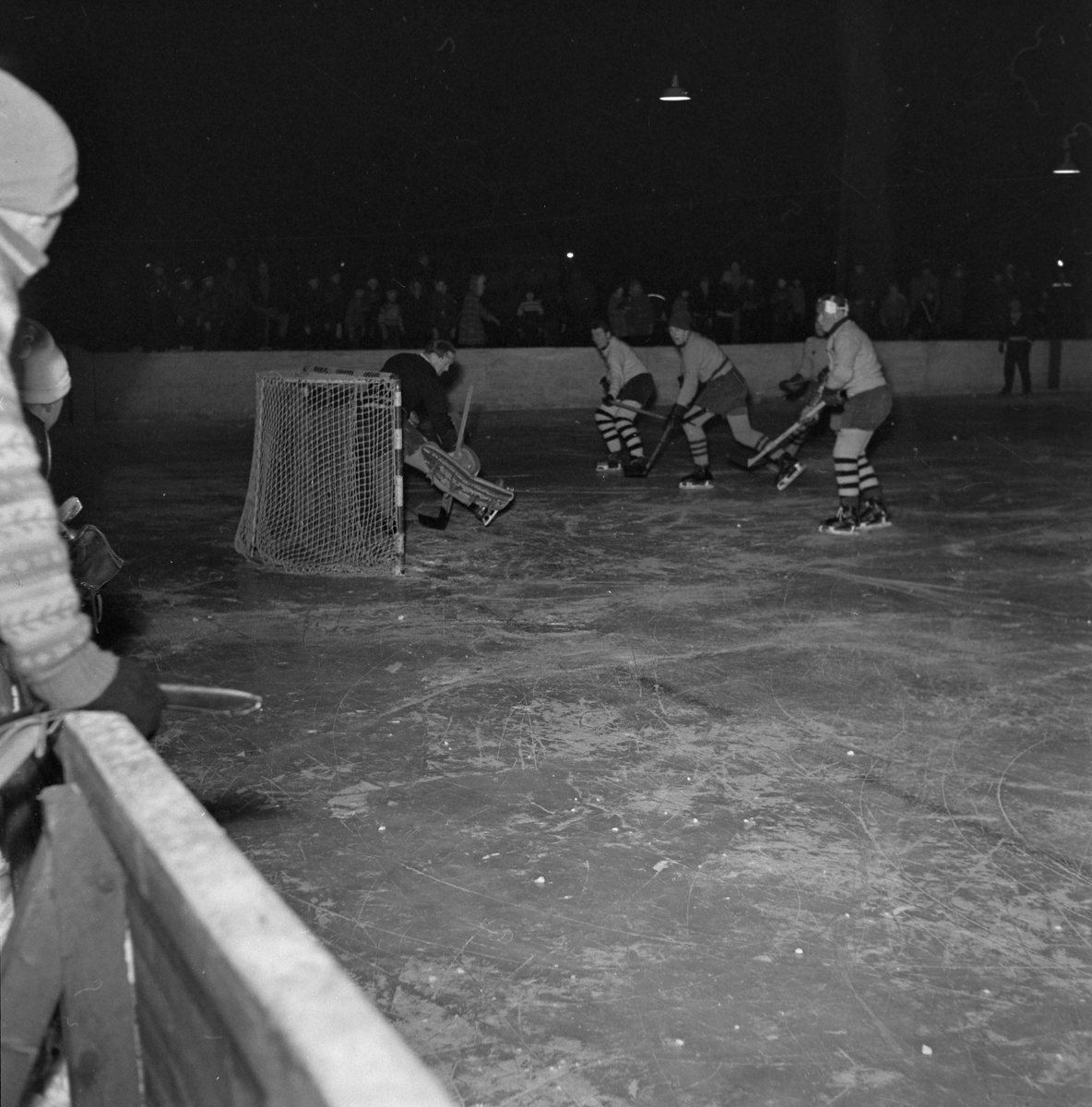 Ishockey, Wing - Rosenborg