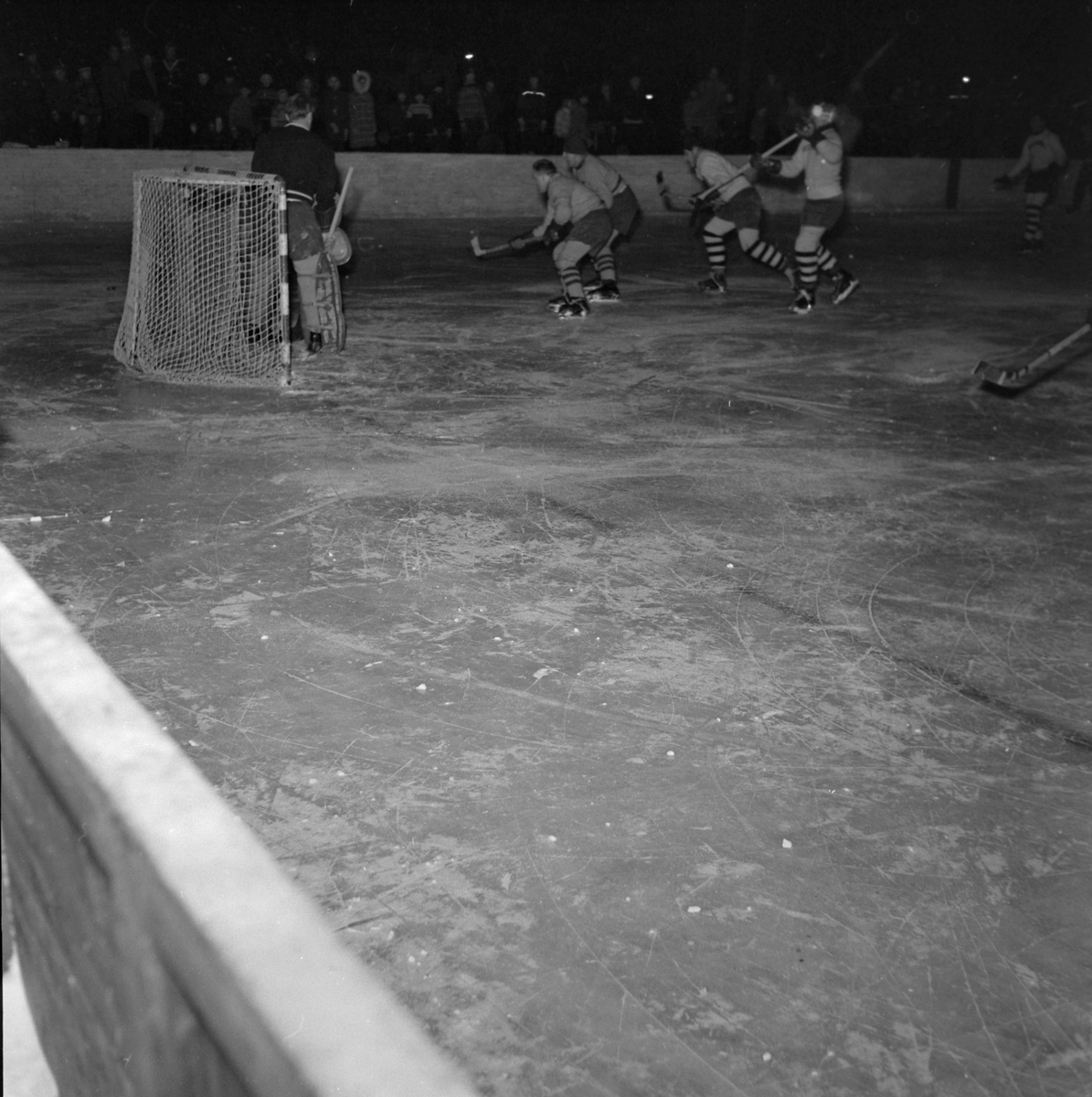 Ishockey, Wing - Rosenborg