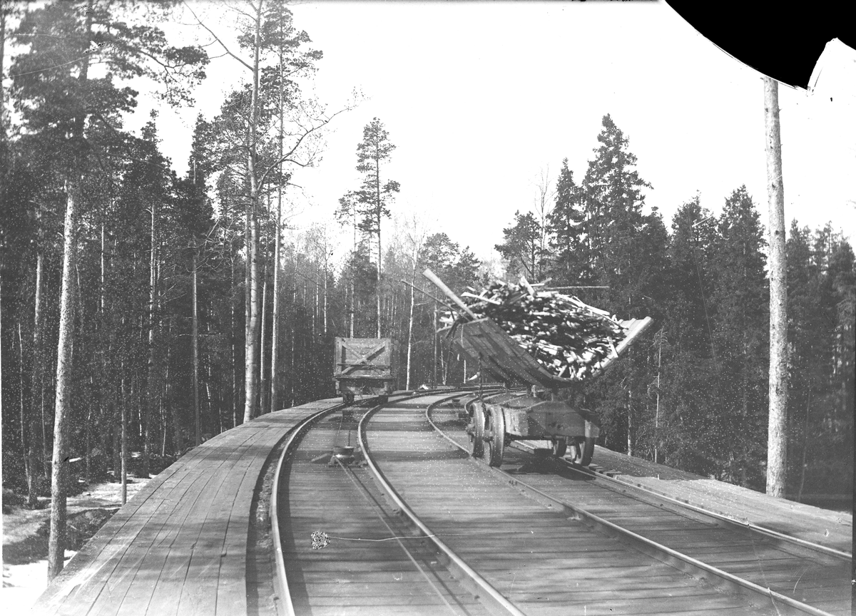 "Linbanan" för transport av virke.