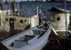 Porin Karhu