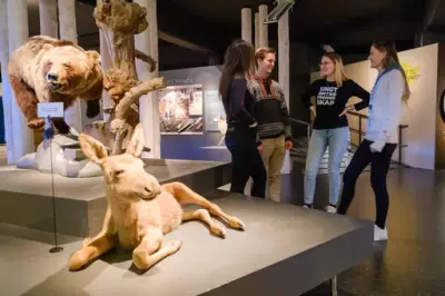 En liten gruppe unge voksne snakker sammen i en dyre-utstilling