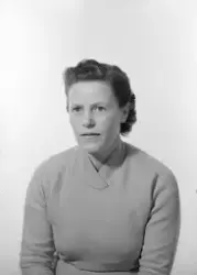 Fru Birgit Ahlander