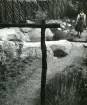 Trädgårdsmiljö i Sverige, omkring 19401950-tal. En kvinna promenerar över en liten träbro bland sten och växter.