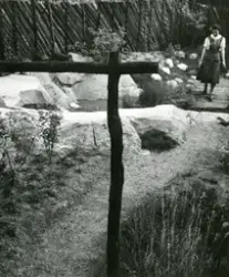 Kvinna i trädgårdsmiljö